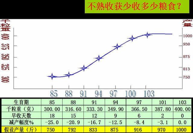 玉米成熟期粮食减产幅度