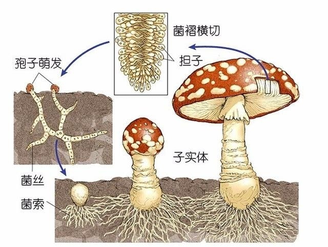 1031-11_副本.jpg